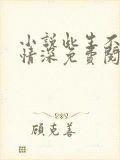 小说此生不负你情深免费阅读全集封面
