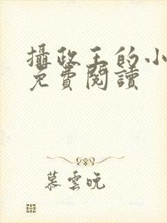 摄政王的小闲妻免费阅读封面