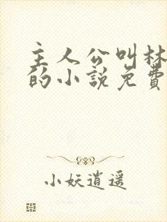 主人公叫林不悔的小说免费阅读封面