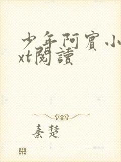 少年阿宾小说txt阅读