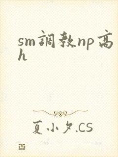 sm调教np高h