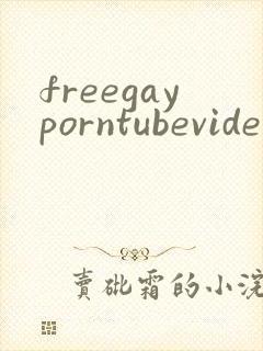freegayporntubevideos封面