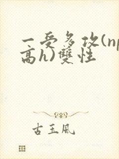 一受多攻(np高h)双性