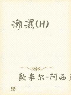 潮湿(H)