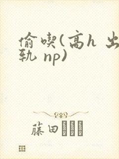 偷吃(高h 出轨 np)