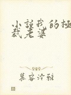 小说我的极品总裁老婆封面