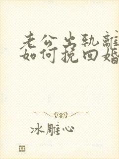 老公出轨离婚后如何挽回婚姻封面