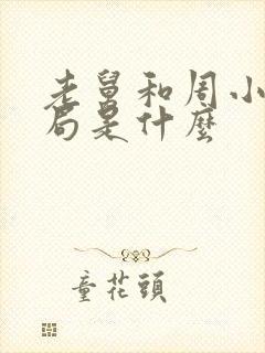 老舅和周小姐结局是什么