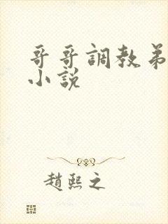 哥哥调教弟弟的小说