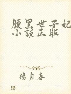 腹黑世子妃日常小说正版