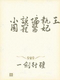 小说偏执王爷的团宠医妃