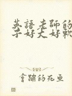 英语老师的小兔子好大好软水