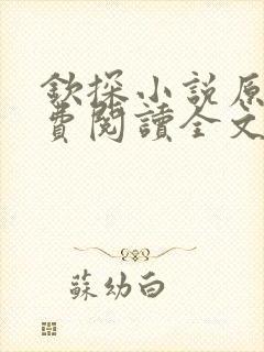 钦探小说原著免费阅读全文