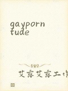 gayporntude