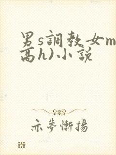 男s调教女m(高h)小说封面