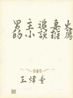 男主追妻火葬场的小说推荐