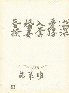 昏婚入爱:总裁撩妻套路深封面