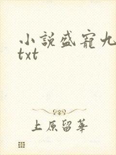 小说盛宠九皇妃txt