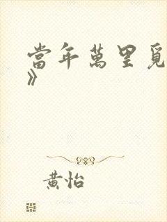 当年万里觅封侯》