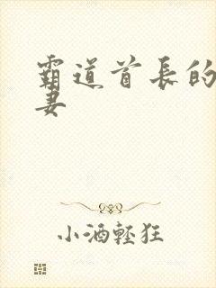 霸道首长的小萌妻
