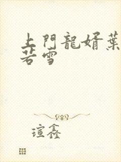上门龙婿叶凡唐若雪