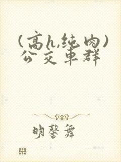 (高h,纯肉)公交车群