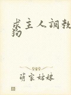 求主人调教骚母狗