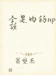 全是肉的np小说