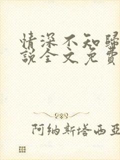 情深不知归处小说全文免费阅读