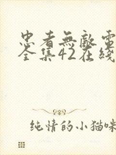 忠者无敌电视剧全集42在线观看封面