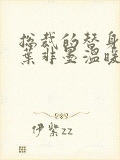 总裁的替身前妻叶非墨温暖全文免费阅读封面
