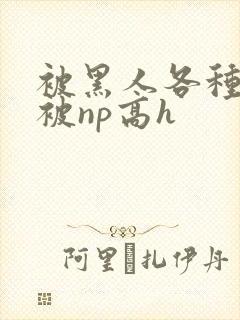 被黑人各种姿势被np高h
