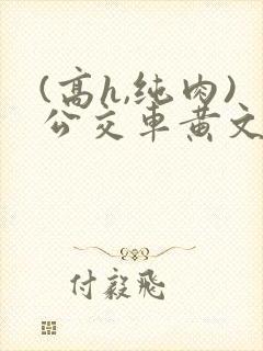 (高h,纯肉)公交车黄文