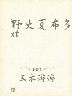 野火夏布多昂txt