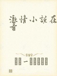 激情小说在线观看