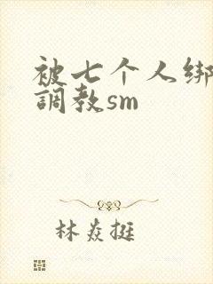 被七个人绑着玩调教sm封面
