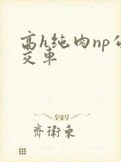 高h纯肉np公交车封面