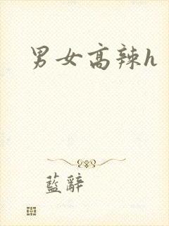 男女高辣h