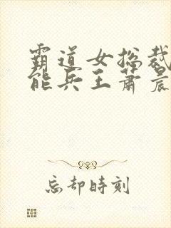 霸道女总裁的全能兵王萧晨