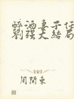 醉酒妻子任念与刘强大结局