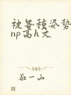 被各种姿势玩弄np高h文封面