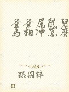 爸爸属鼠儿子属马相冲怎么办