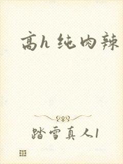 高h 纯肉辣文