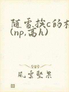 随处挨c的校园(np,高h)