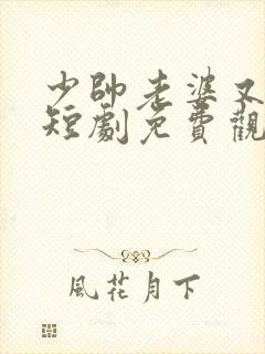 少帅老婆又跑了短剧免费观看高清