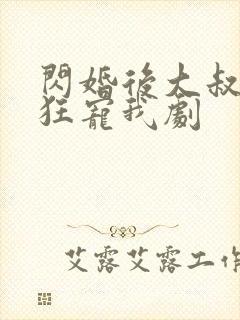 闪婚后大叔每天狂宠我剧封面