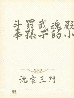 斗罗武魂殿二供奉孙子的小说