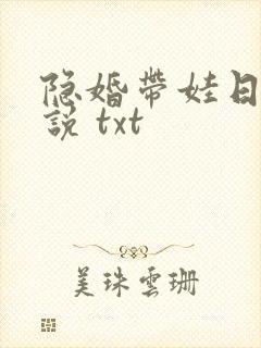 隐婚带娃日常小说 txt