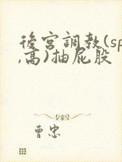后宫调教(sp,高)抽屁股