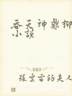 吞天神鼎柳无邪小说